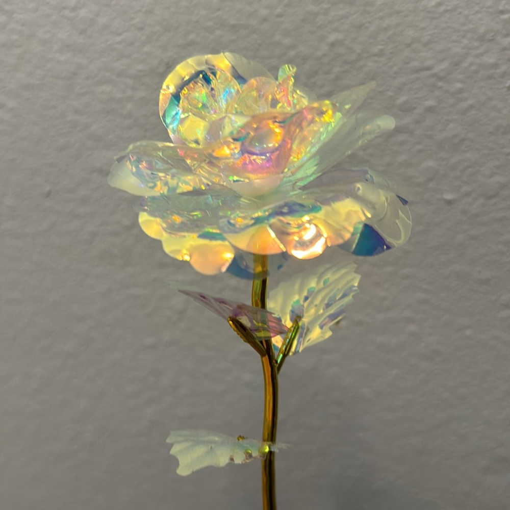 Single Galaxy Rose - Picture 7 of 7